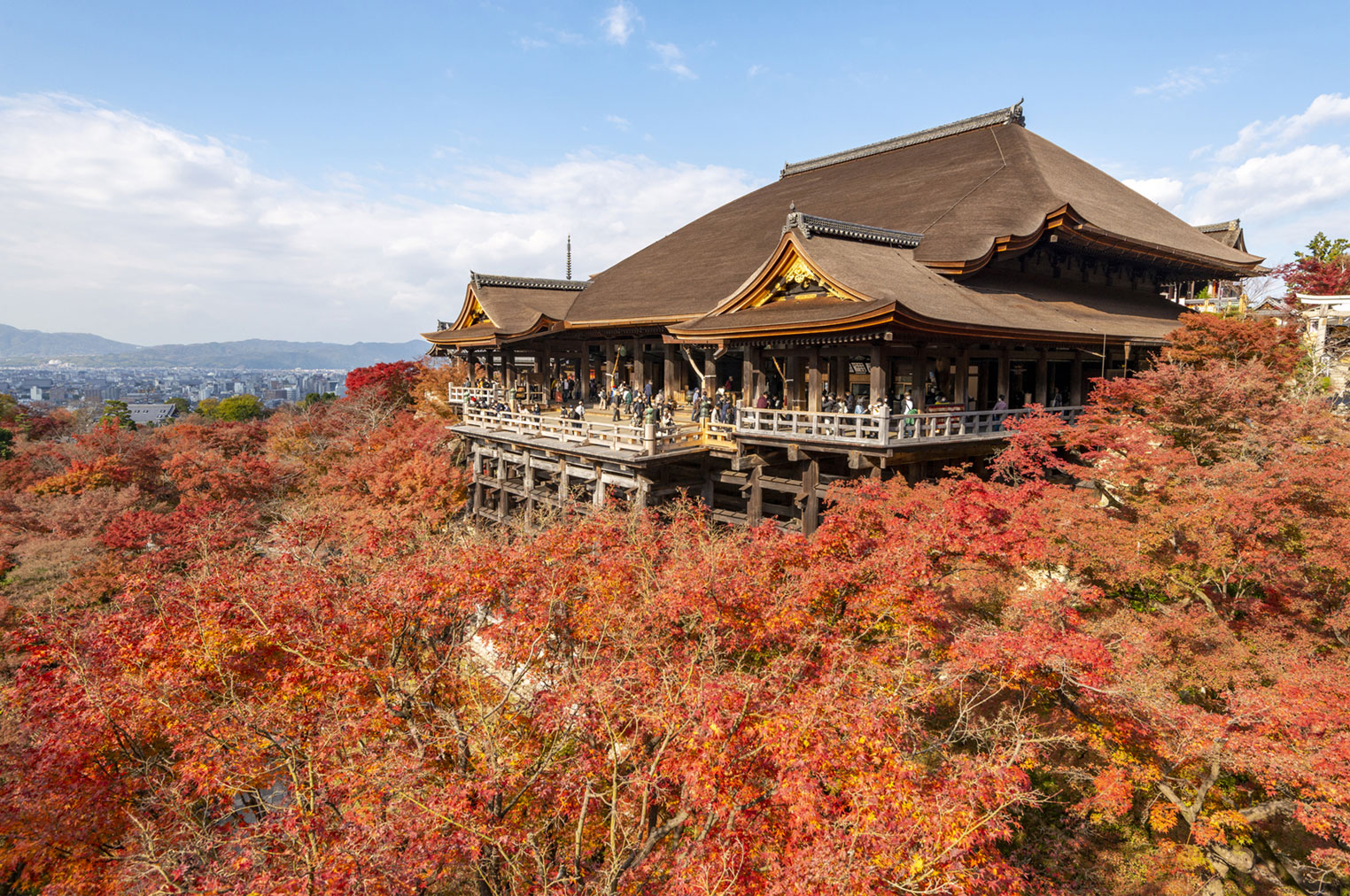 紅葉の清水寺